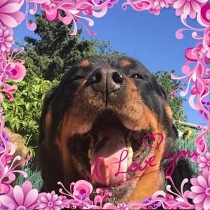 Meet your Posher, Leanne